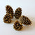 gold pine cones