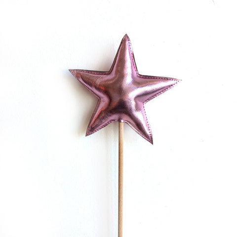 pvc star wand