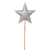 mouche star wand glitter