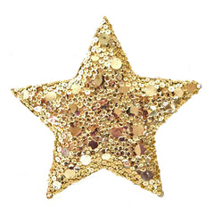 gold sequin star